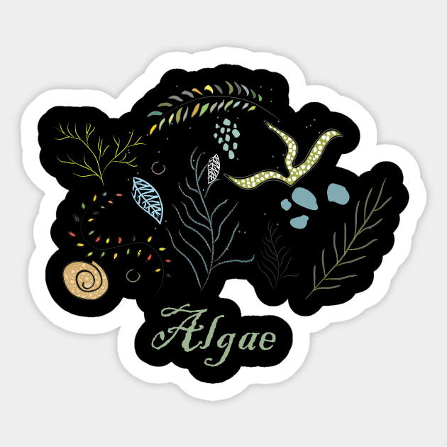 Algae Sticker by Kristina Stellar Scandinavian Land